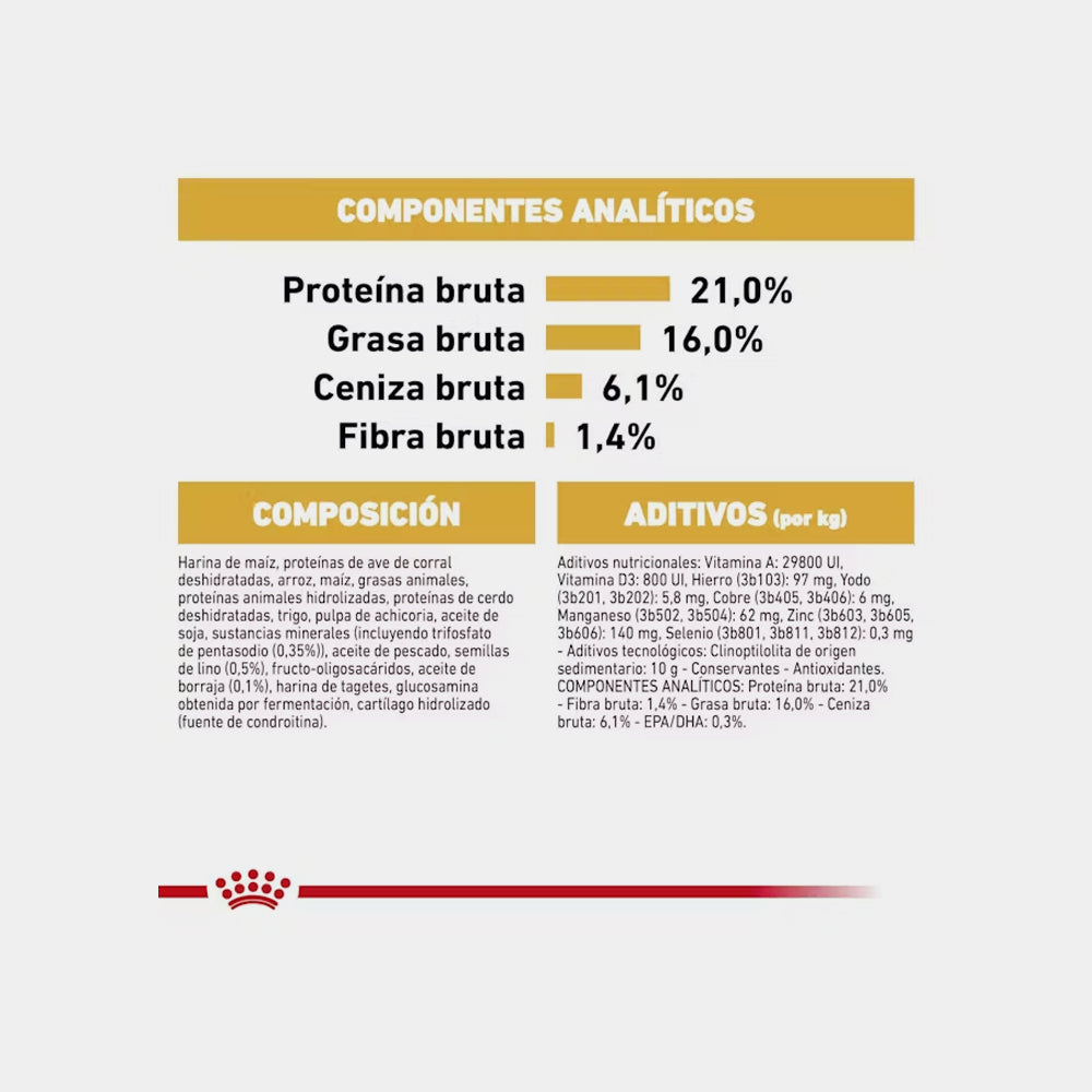 Royal Canin Adult West Highland White Terrier Alimento Para Perro