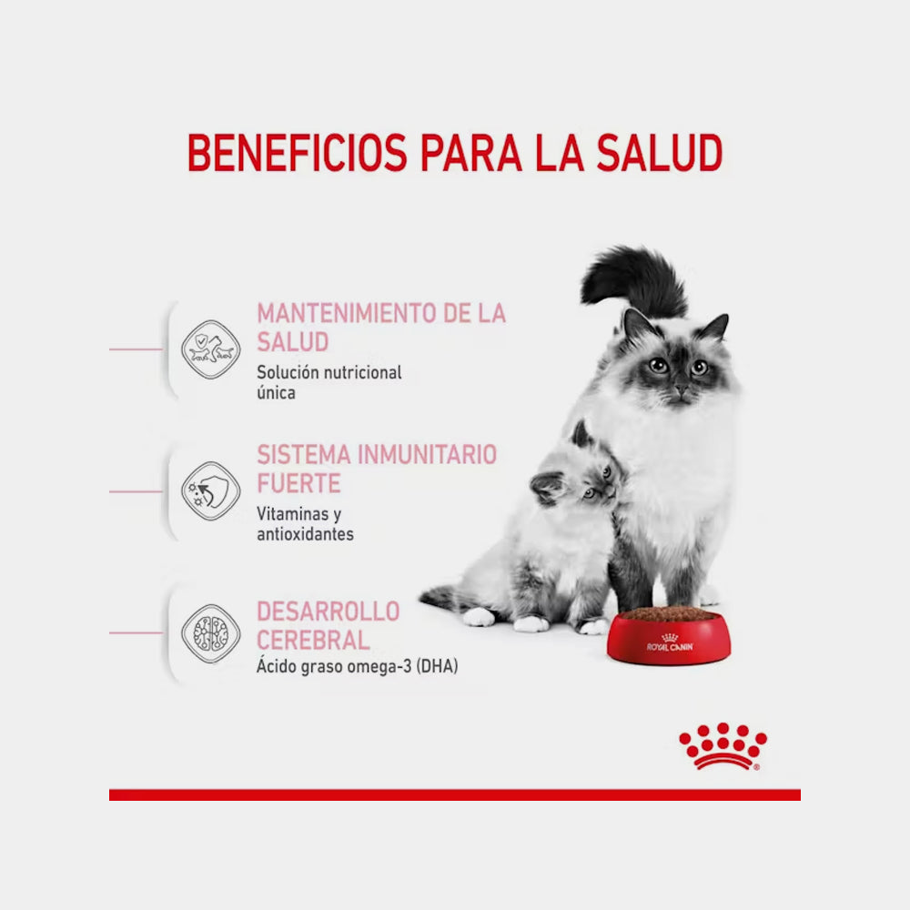 Royal Canin Babycat Alimento Para Gato