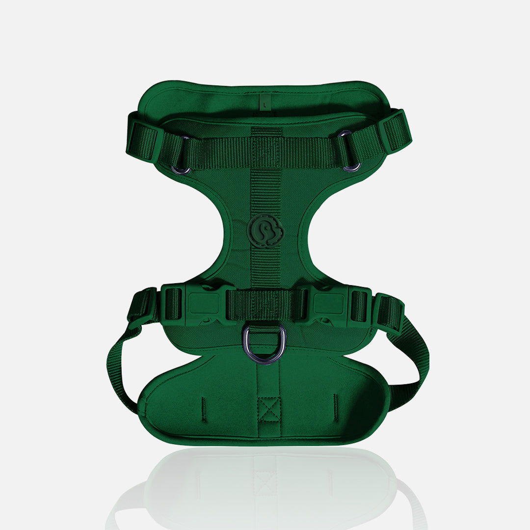 Pechera para perros verde