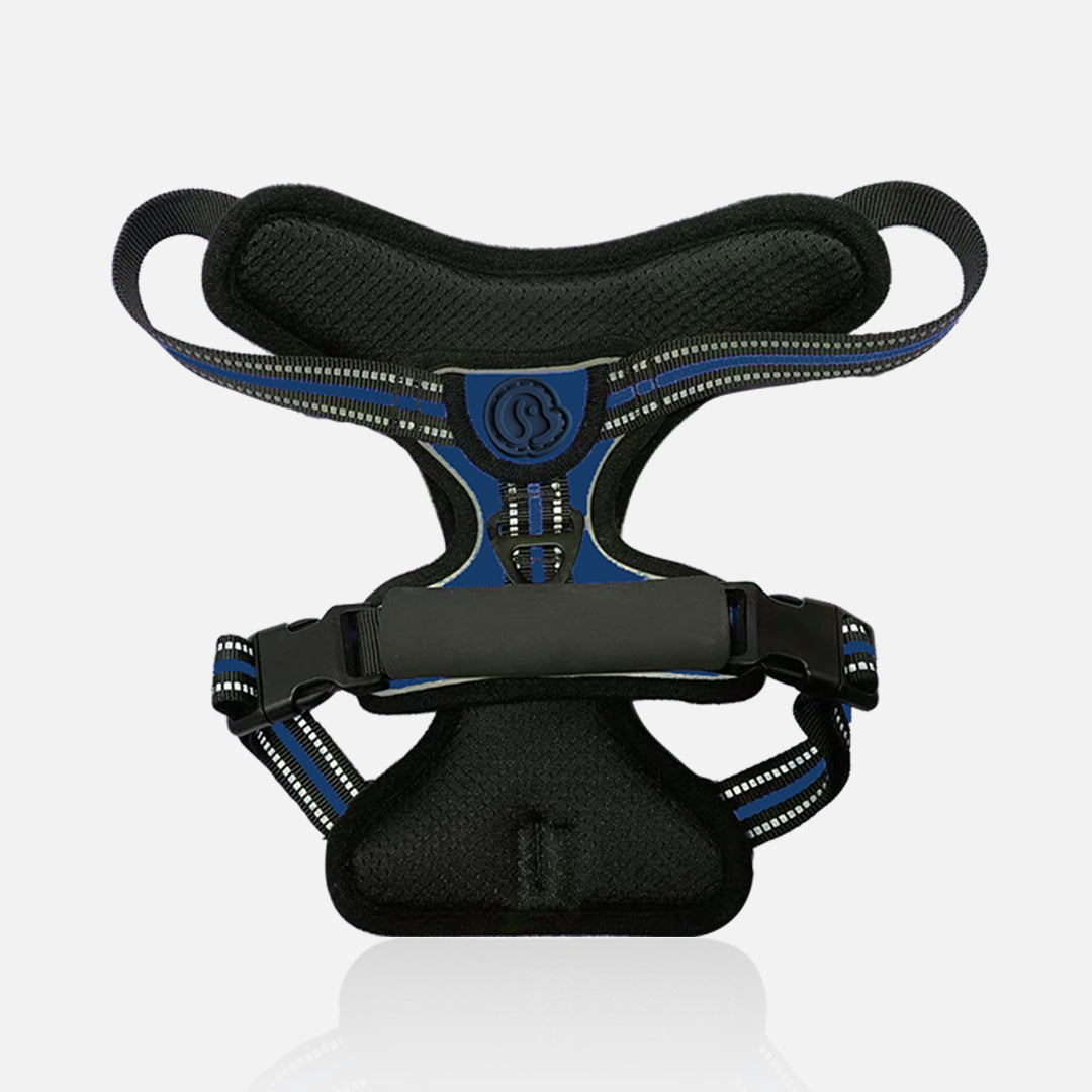 Pechera para perro azul con negro