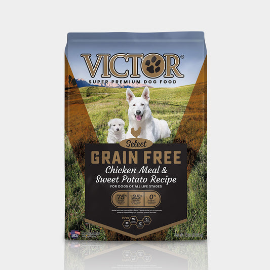Victor Grain Free Chicken Meal And Sweet Potato Alimento Para Perro