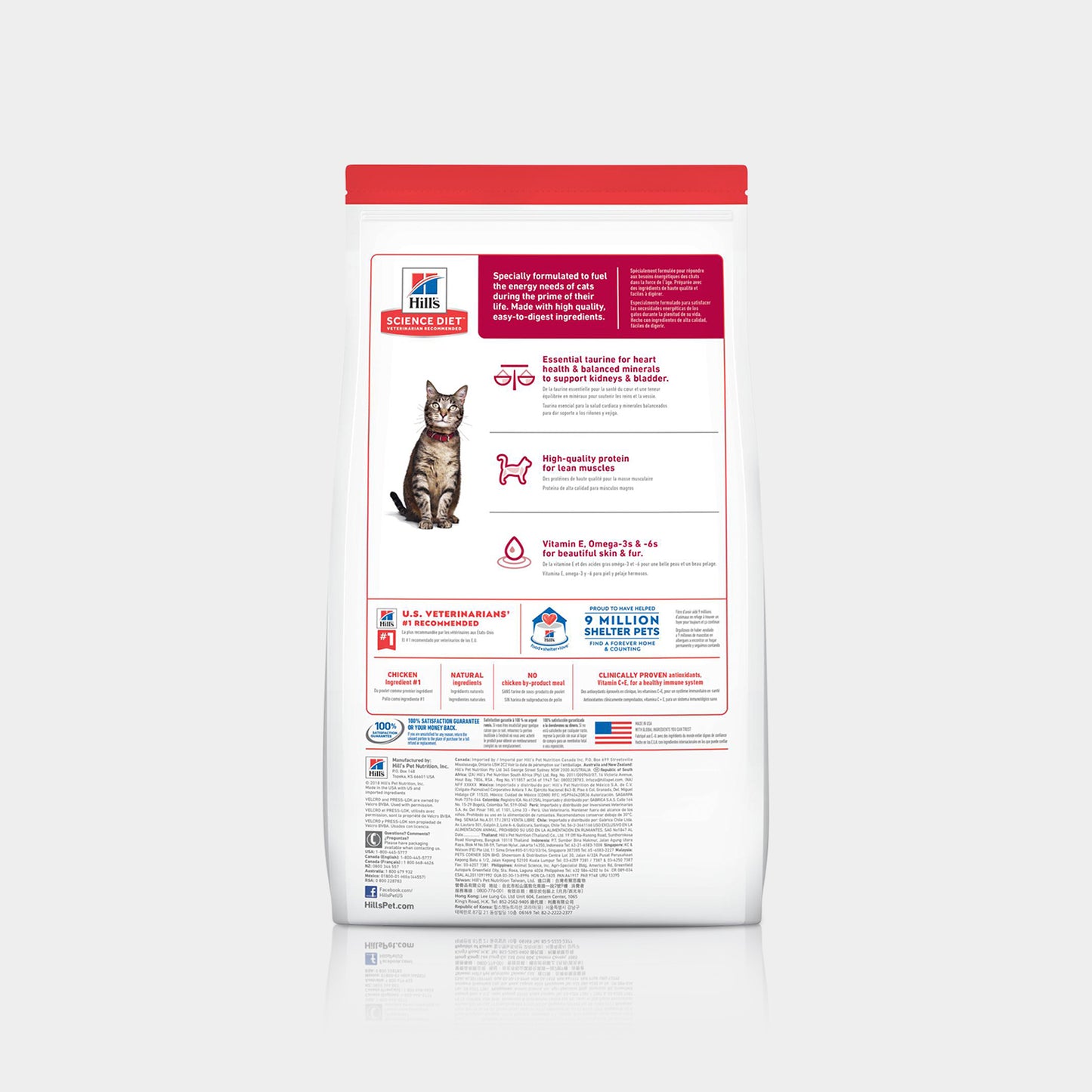 Hills Science Diet Feline Adulto Alimento Para gatos