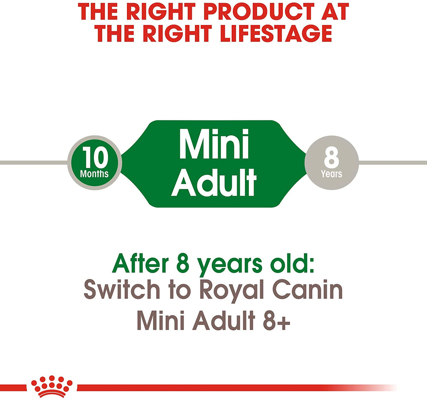 Royal Canin Mini Adulto Alimento Para Perro