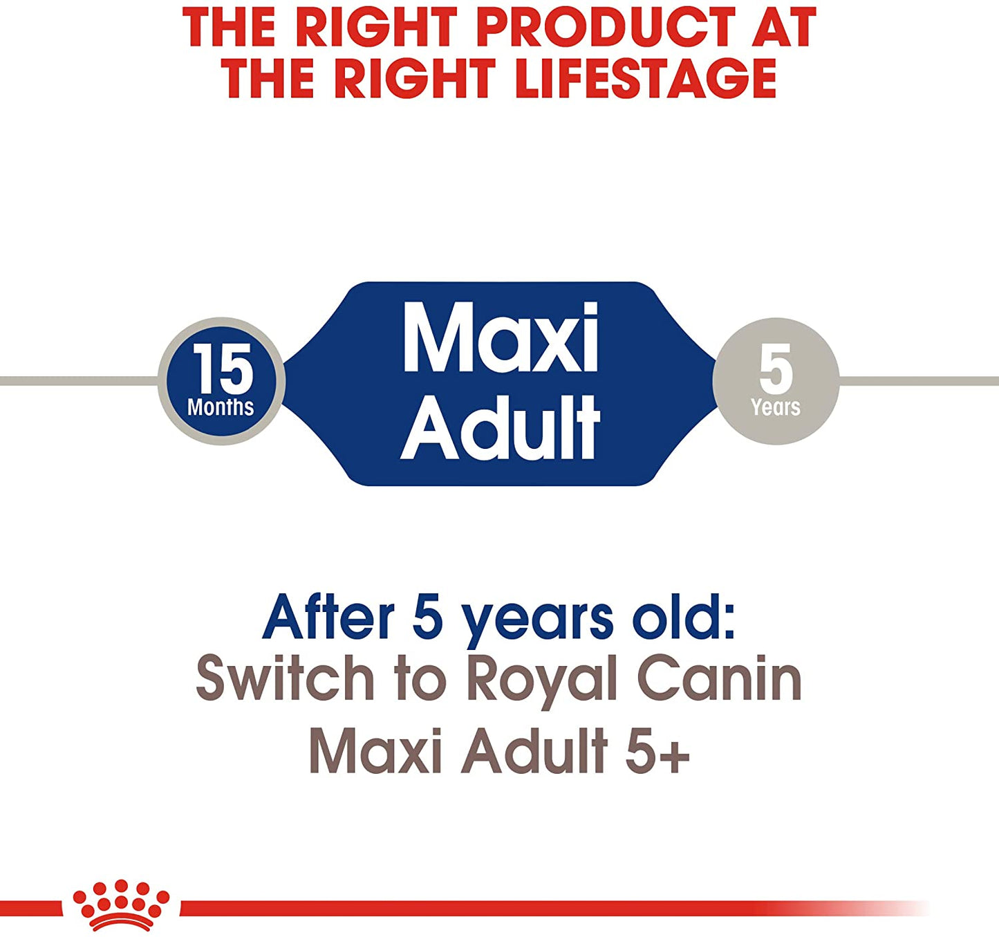 Royal Canin Maxi Adulto Alimento Para Perro