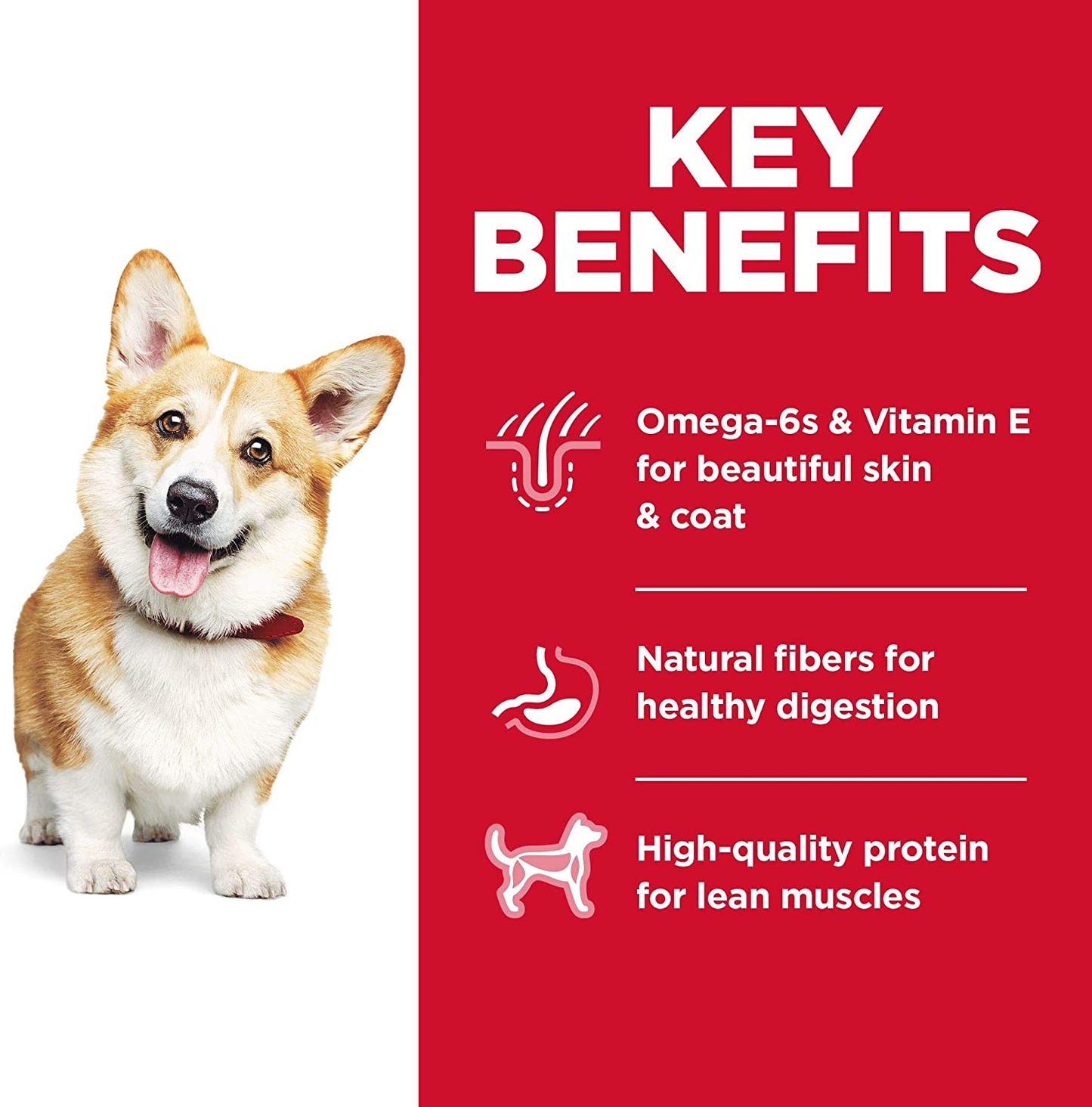 Hills Science Diet Adulto Small Bites Chicken And Barley Alimento Para Perro
