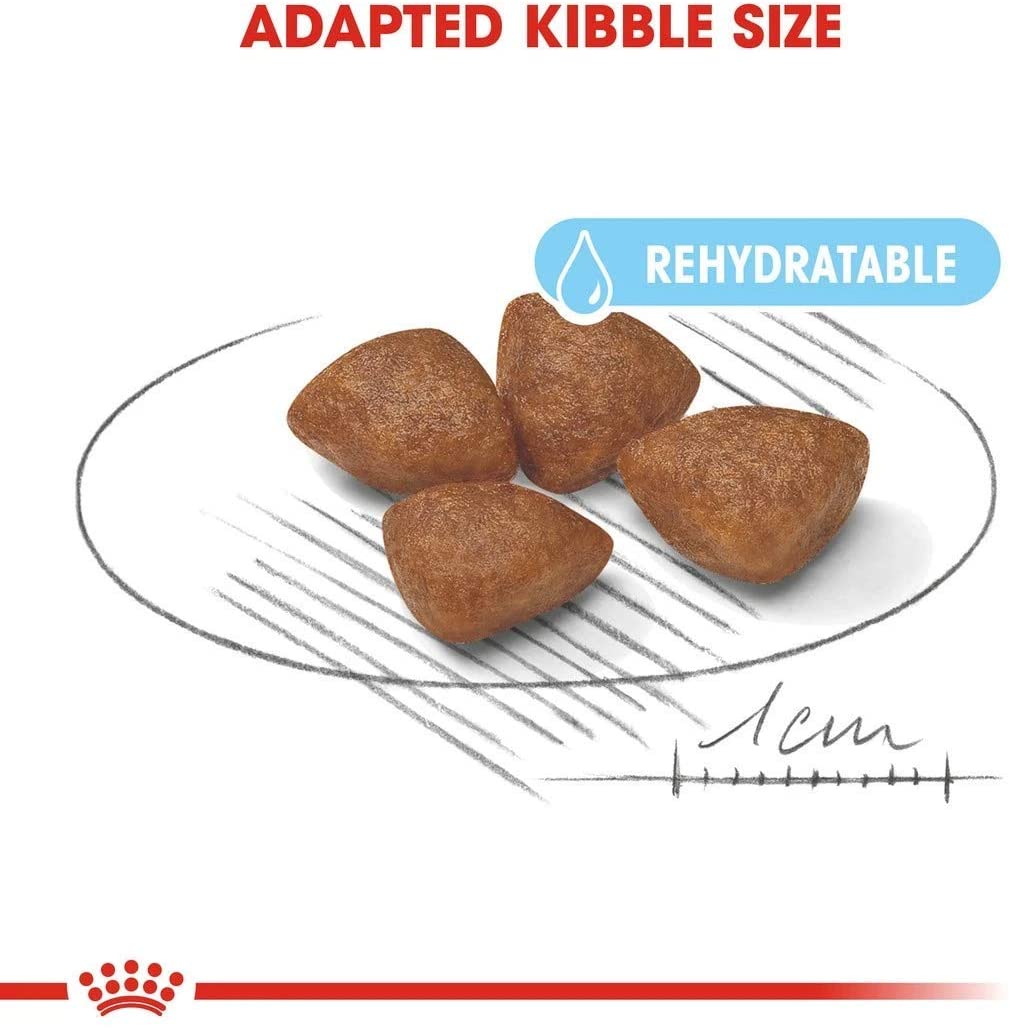 Royal Canin Mini Starter Mother And Babydog Alimento Para Perro