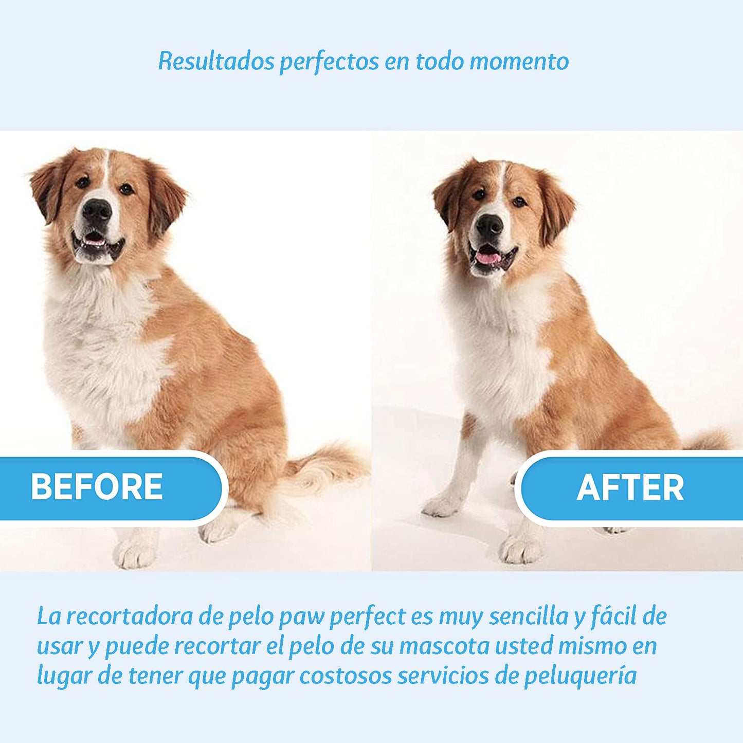 Pet -Cortapelos Para Mascotas