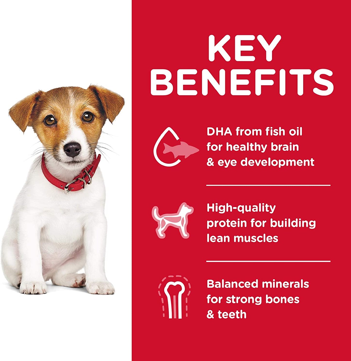 Hills Science Diet Puppy Small Bites Alimento Para Perro