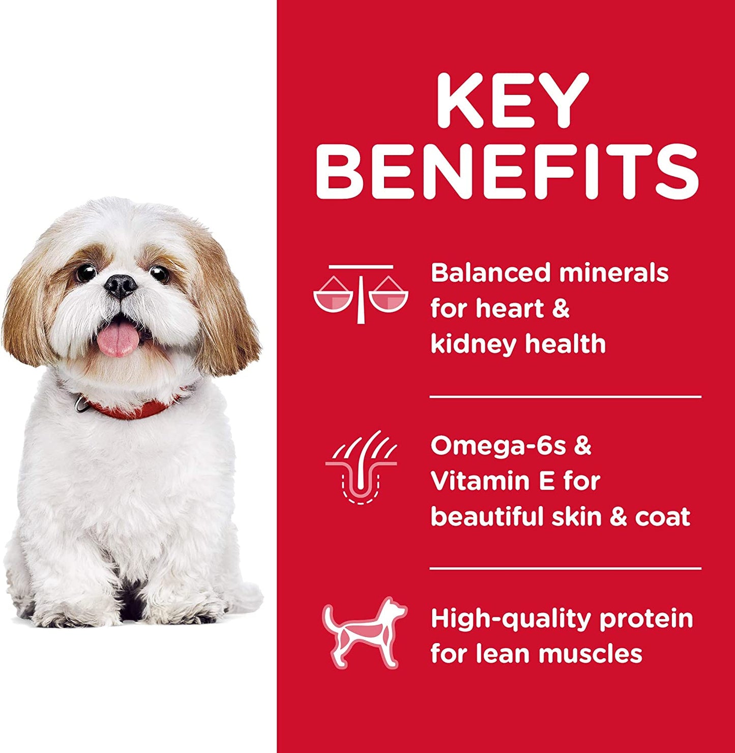 Hills Science Diet Adulto 7 Plus Small Bites Chicken Alimento Para Perro