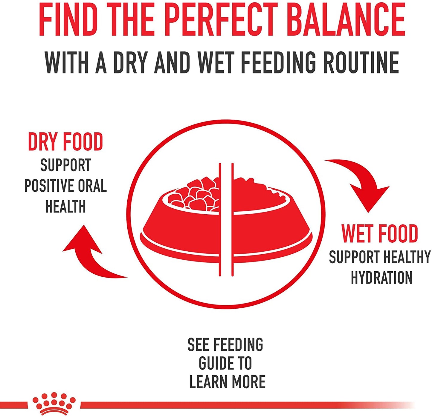 Royal Canin Poodle Adulto Alimento Para Perro