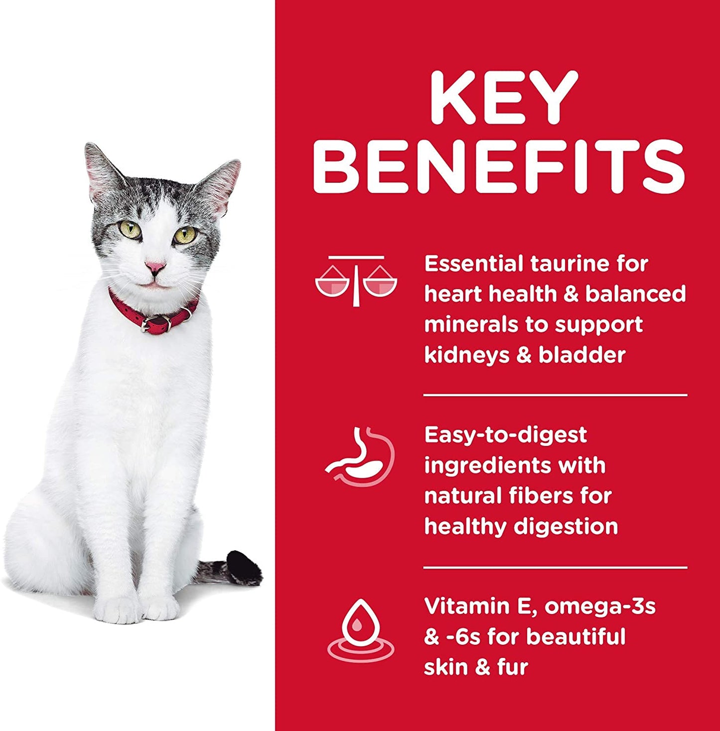 Hills Science Diet Feline Senior Alimento Para gatos