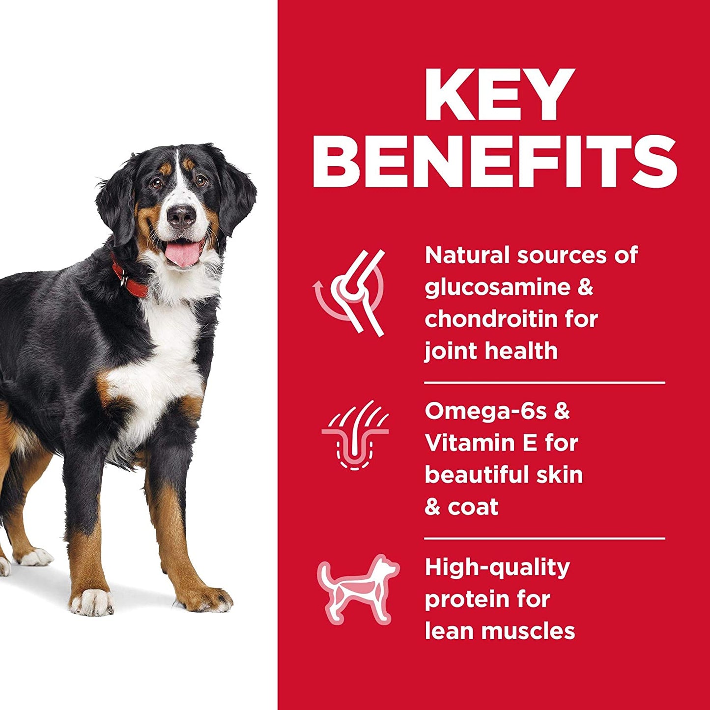 Hills Science Diet Adulto Large Breed Alimento Para Perro