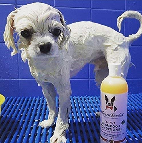 Warren London Shampoo Y Acondicionador 2 en 1 Para Perro
