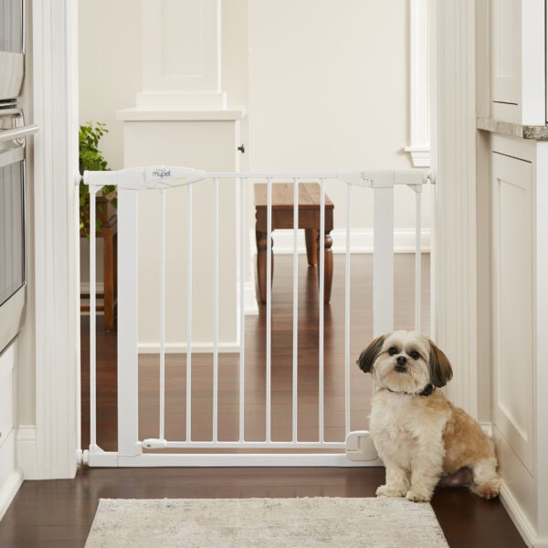 Puerta Para Mascota Con Cierre Automatico - Modelo 5435