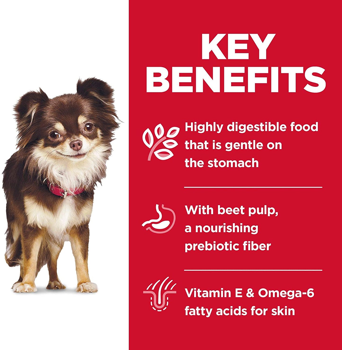 Hills Sd Sensitive Stomach And Skin Small And Mini Alimento Para Perro