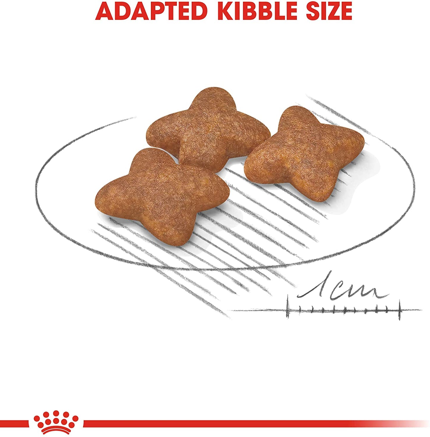 Royal Canin Mini Adulto Alimento Para Perro