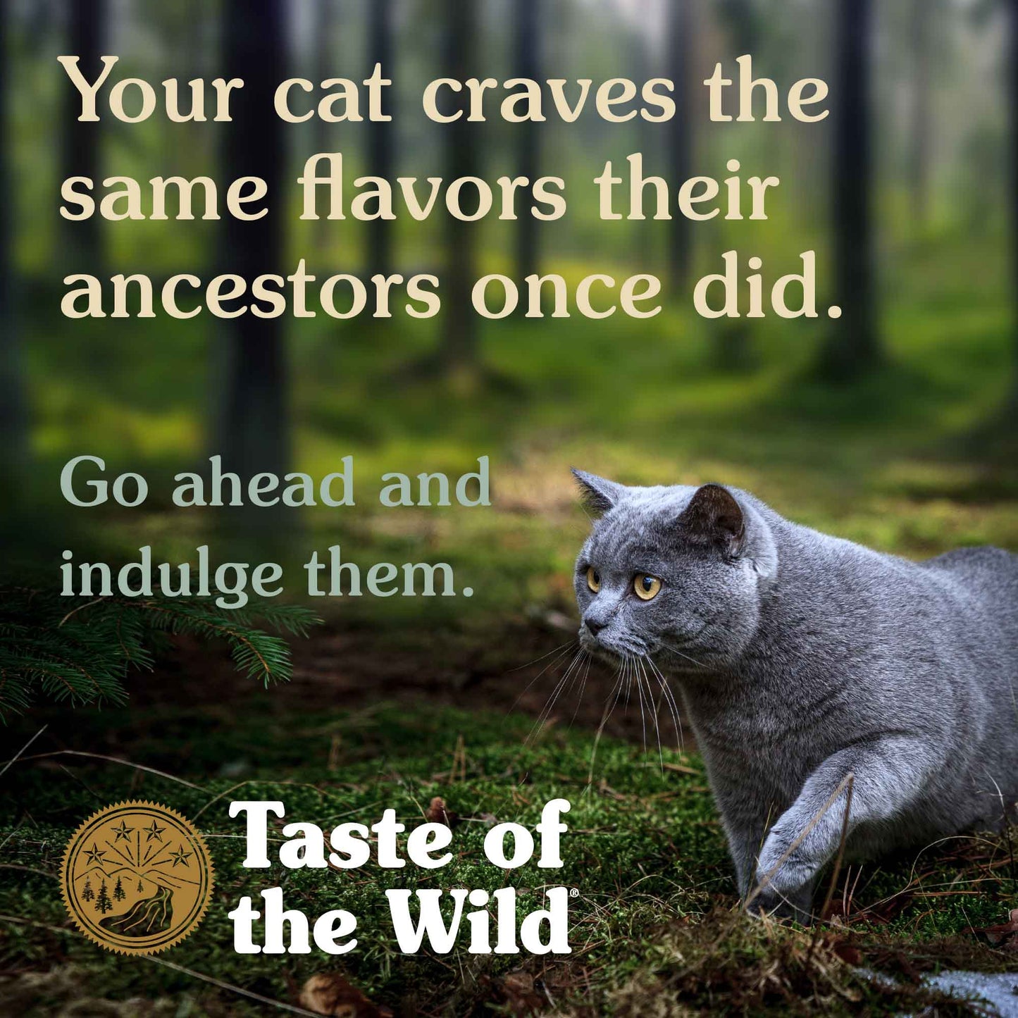 Taste Of The Wild Canyon River With Trout And Smoked Salmon Alimento Para Gato