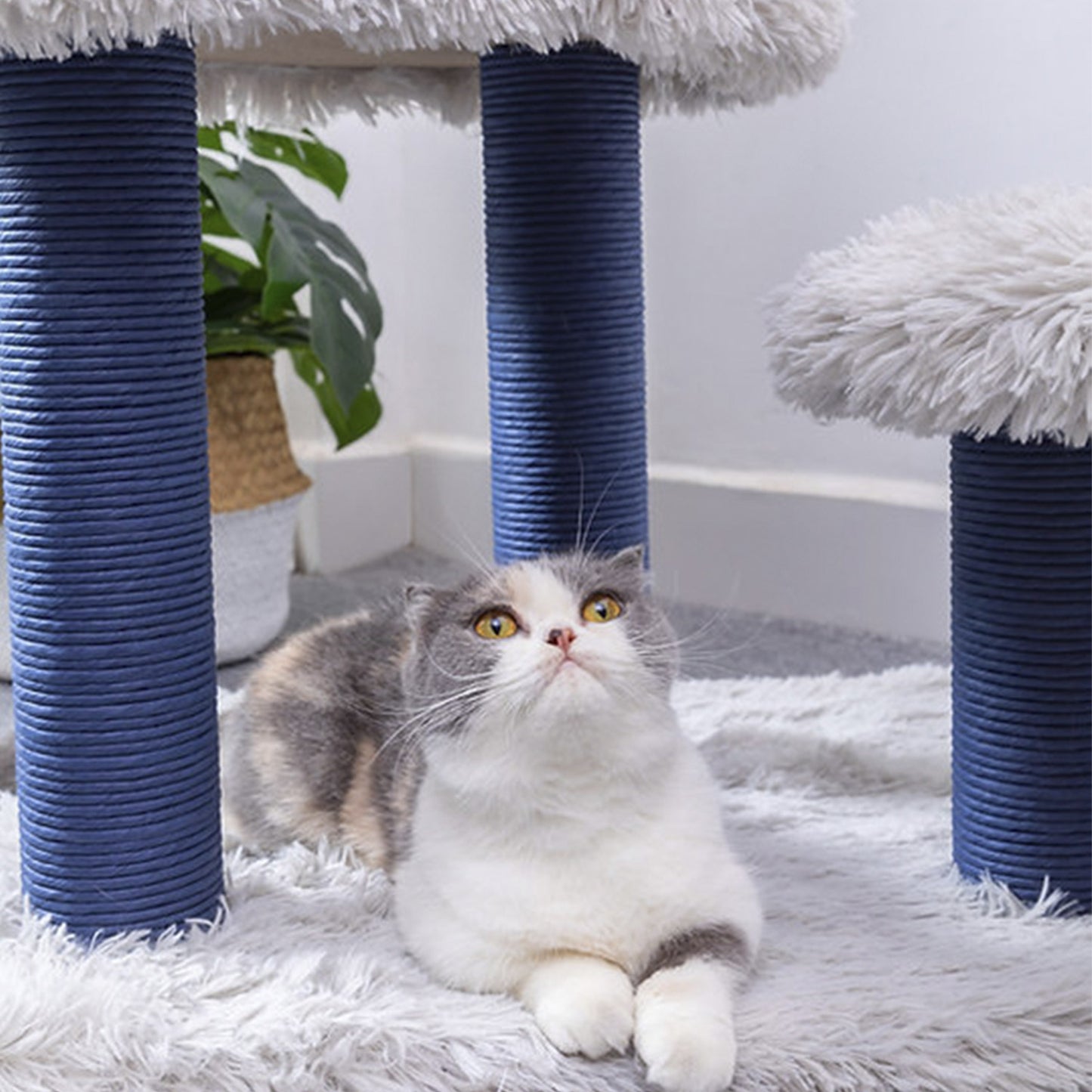 PetPals Árbol de Gato De 4 Niveles Estilo Galaxy