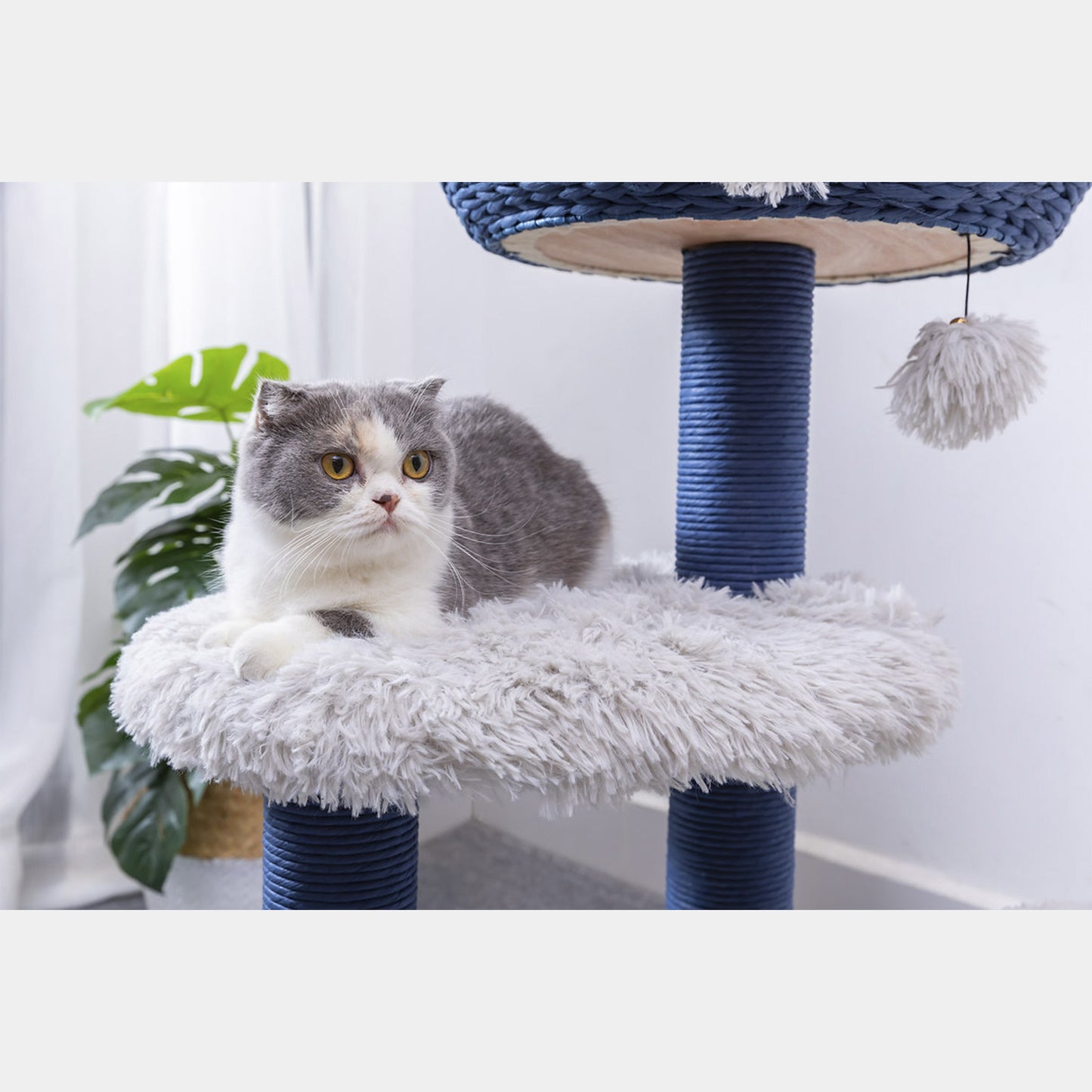 PetPals Árbol de Gato De 4 Niveles Estilo Galaxy