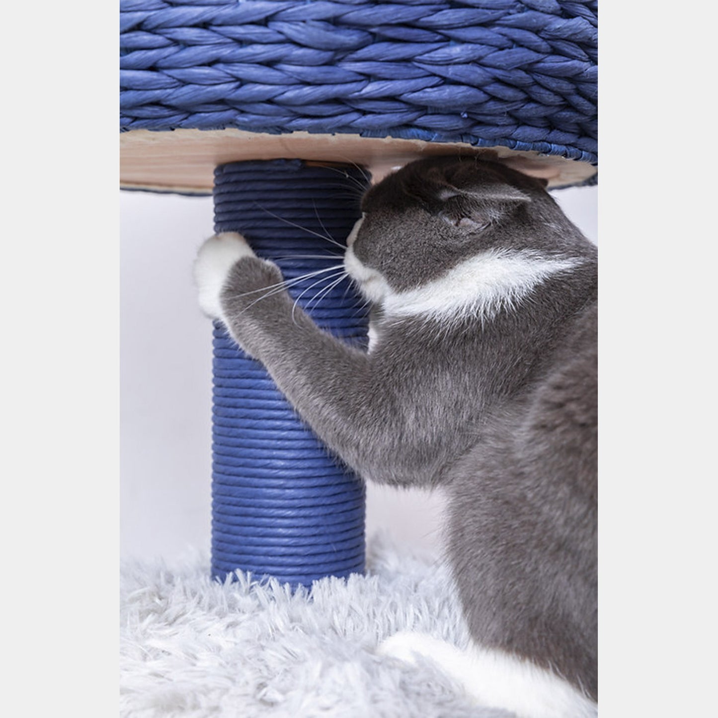 PetPals Árbol de Gato De 4 Niveles Estilo Galaxy