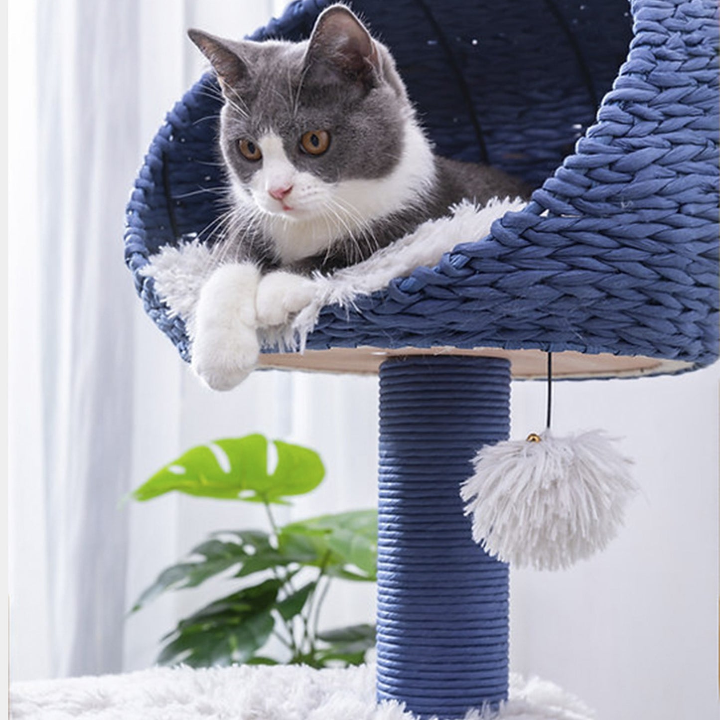 PetPals Árbol de Gato De 4 Niveles Estilo Galaxy