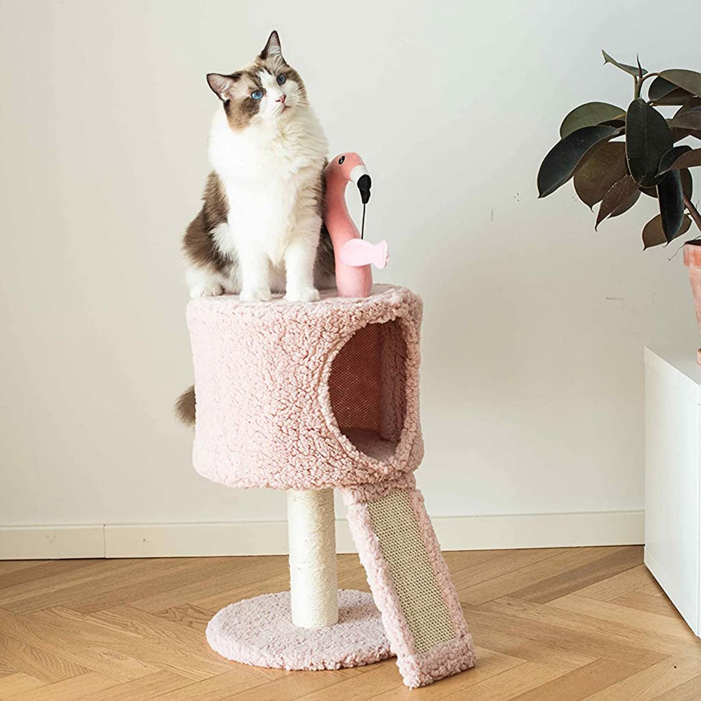 PetPals Árbol de Gato de Flamenco
