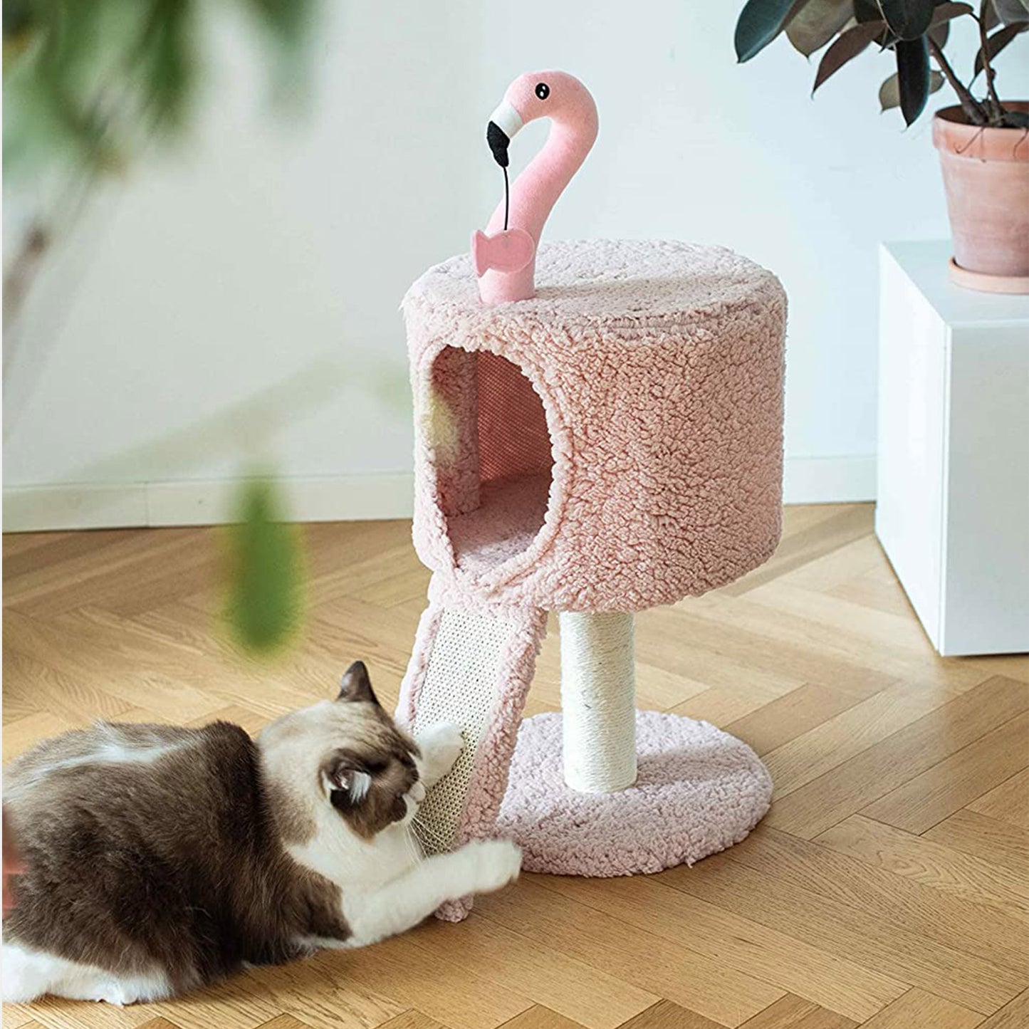 PetPals Árbol de Gato de Flamenco