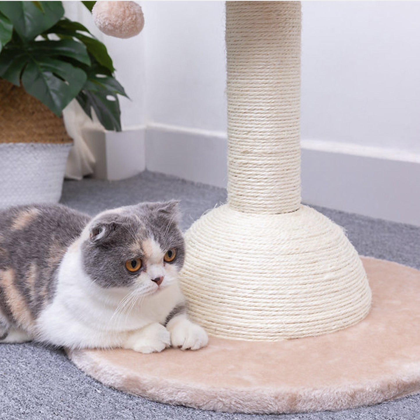 PetPals Mirador de Gato
