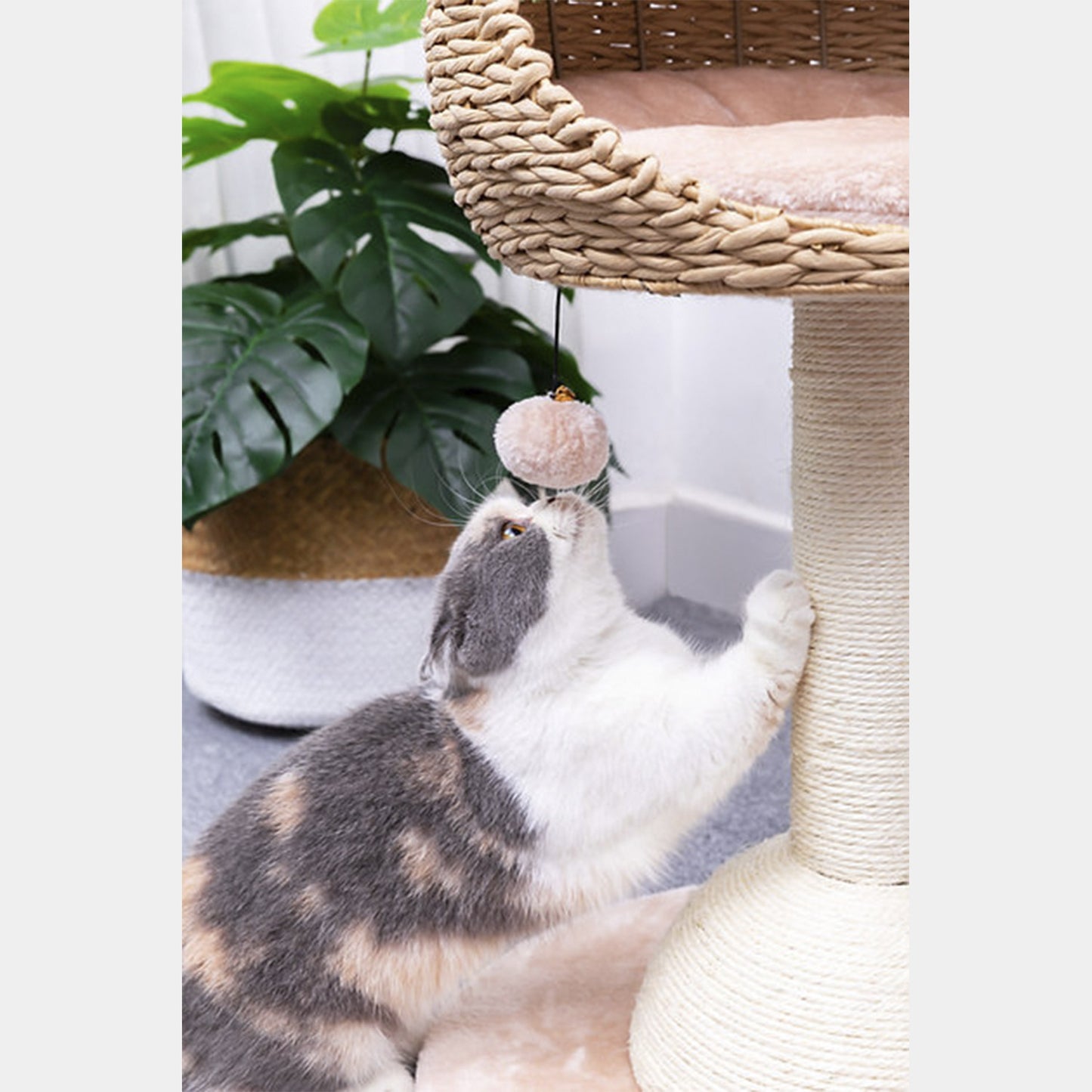 PetPals Mirador de Gato