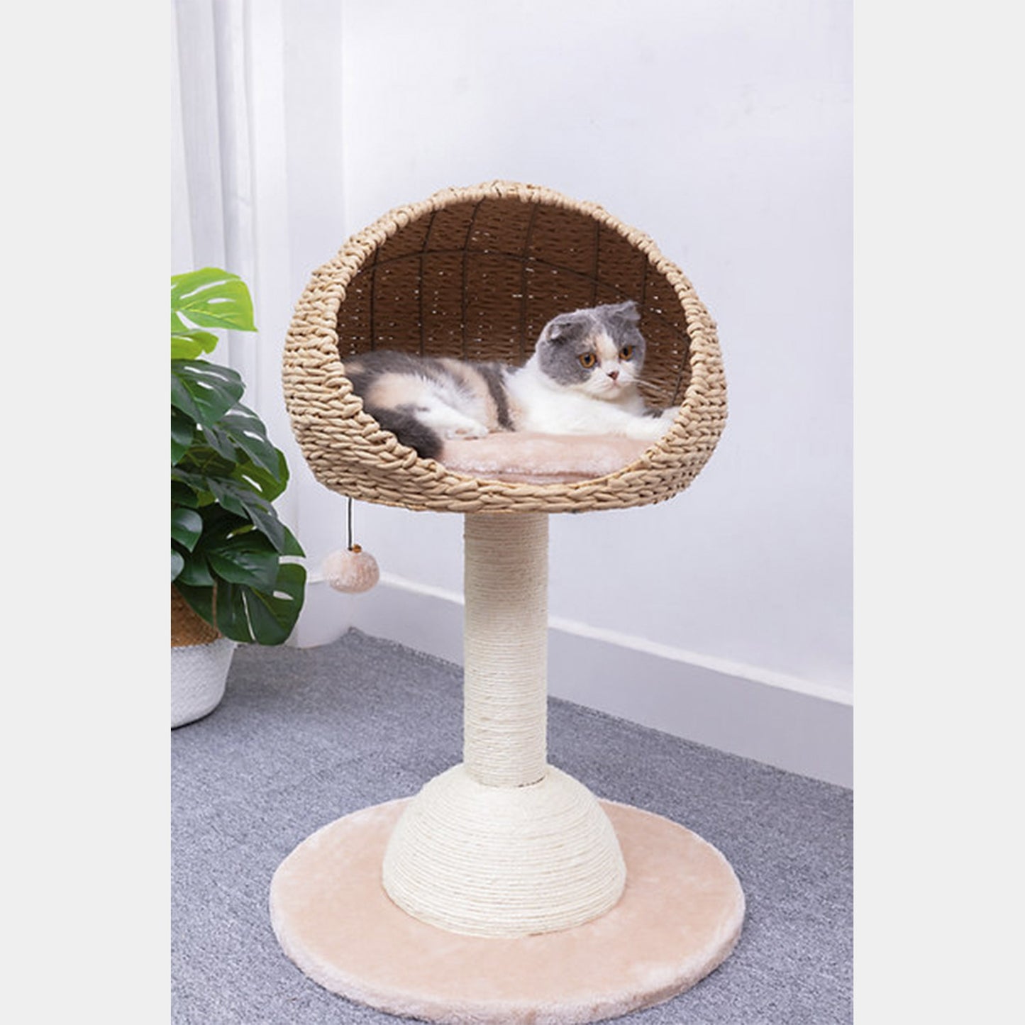 PetPals Mirador de Gato