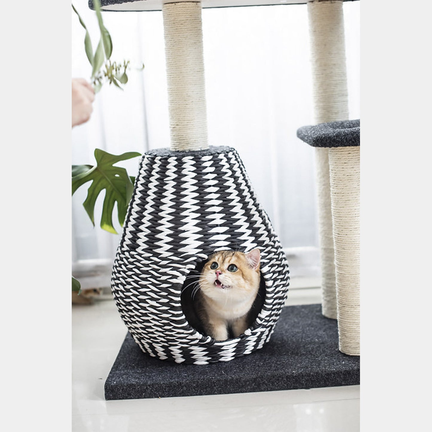 PetPals Árbol De Gato De 4 Niveles Estilo Ace