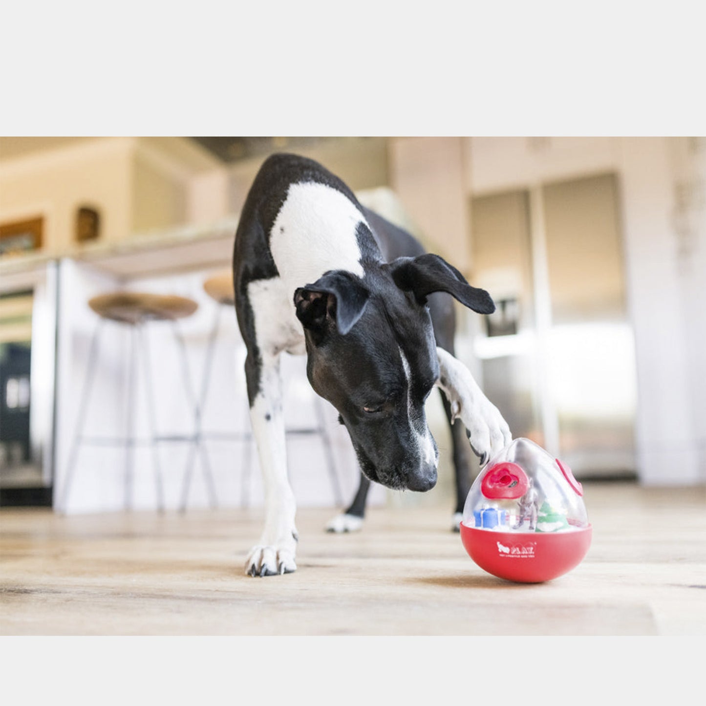 Pet Play Pelota De Juguete Para Perro