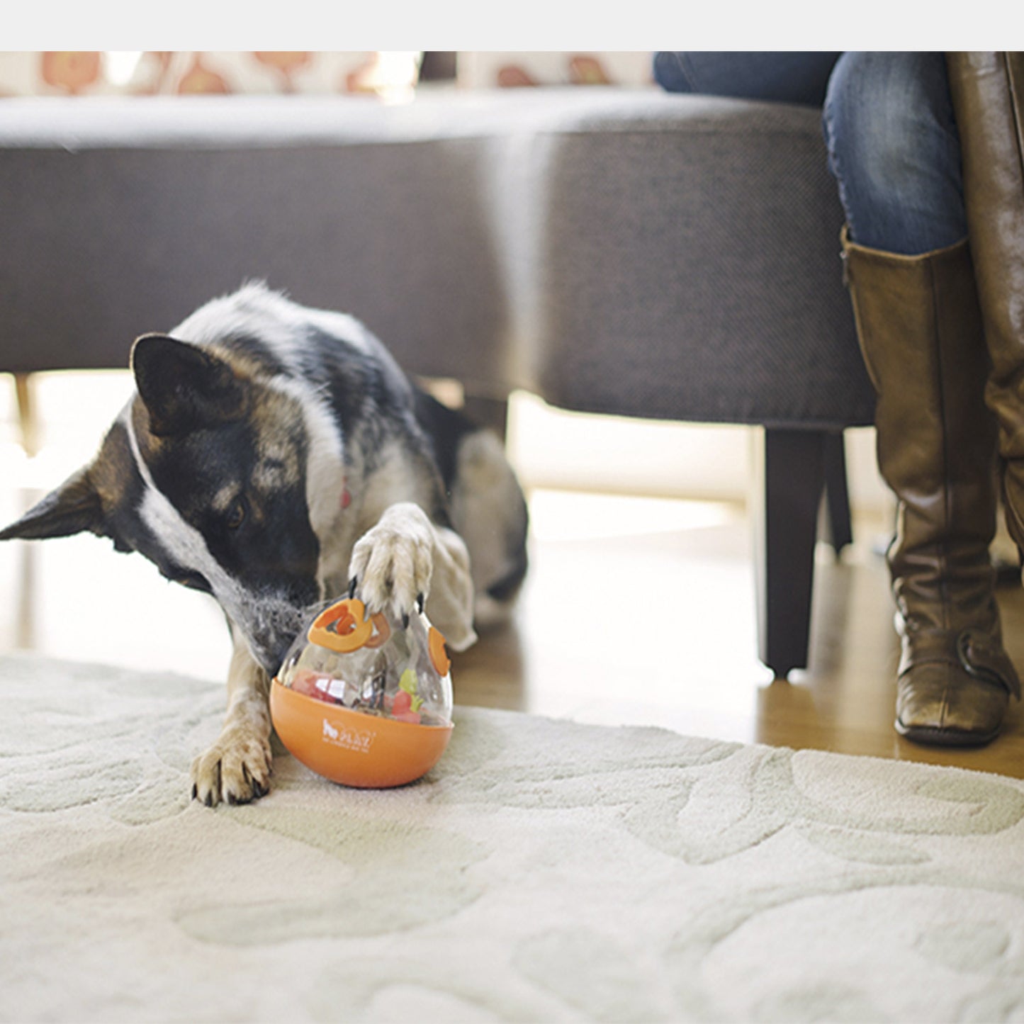 Pet Play Pelota De Juguete Para Perro