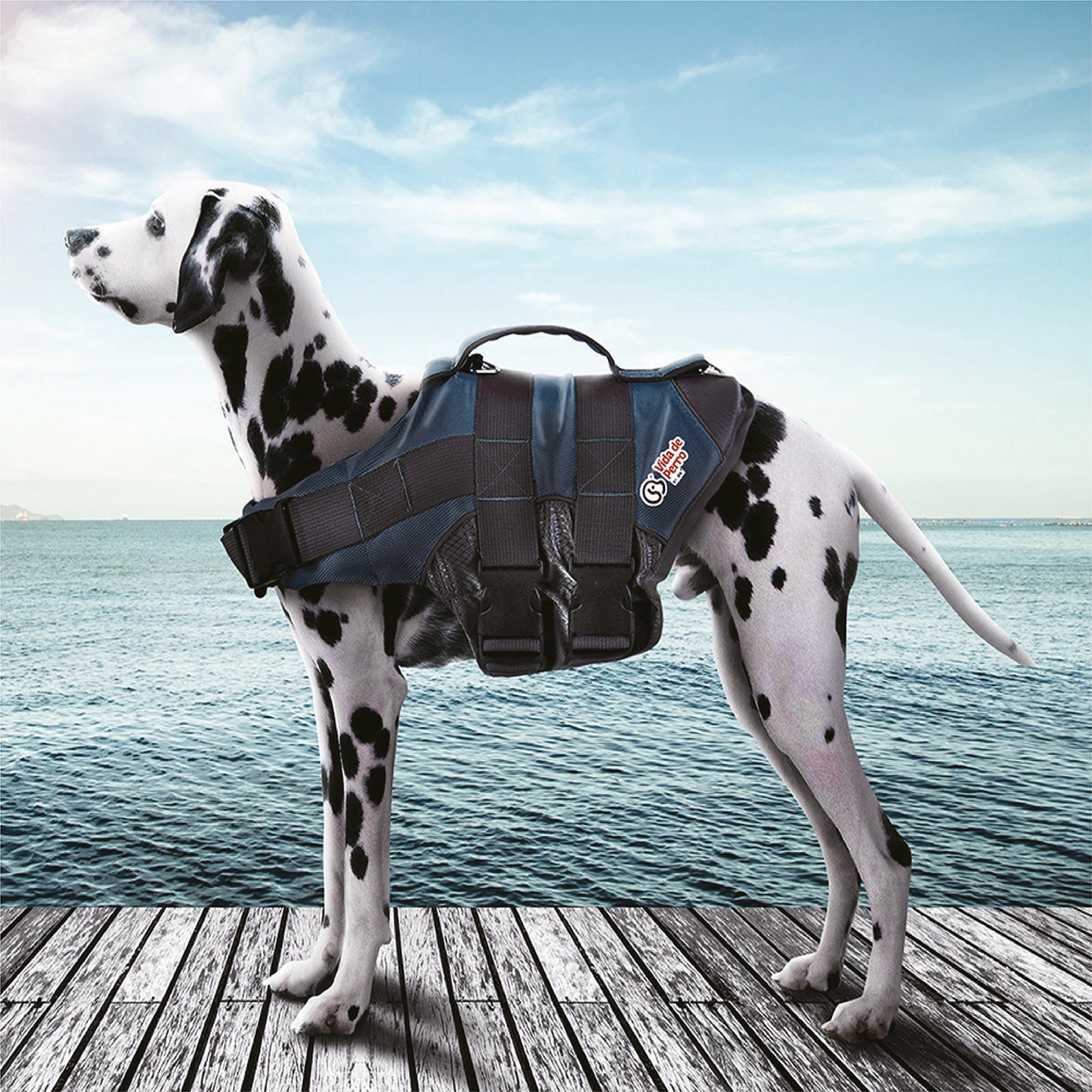 Vida De Perro Chaleco Salvavidas Para Perros