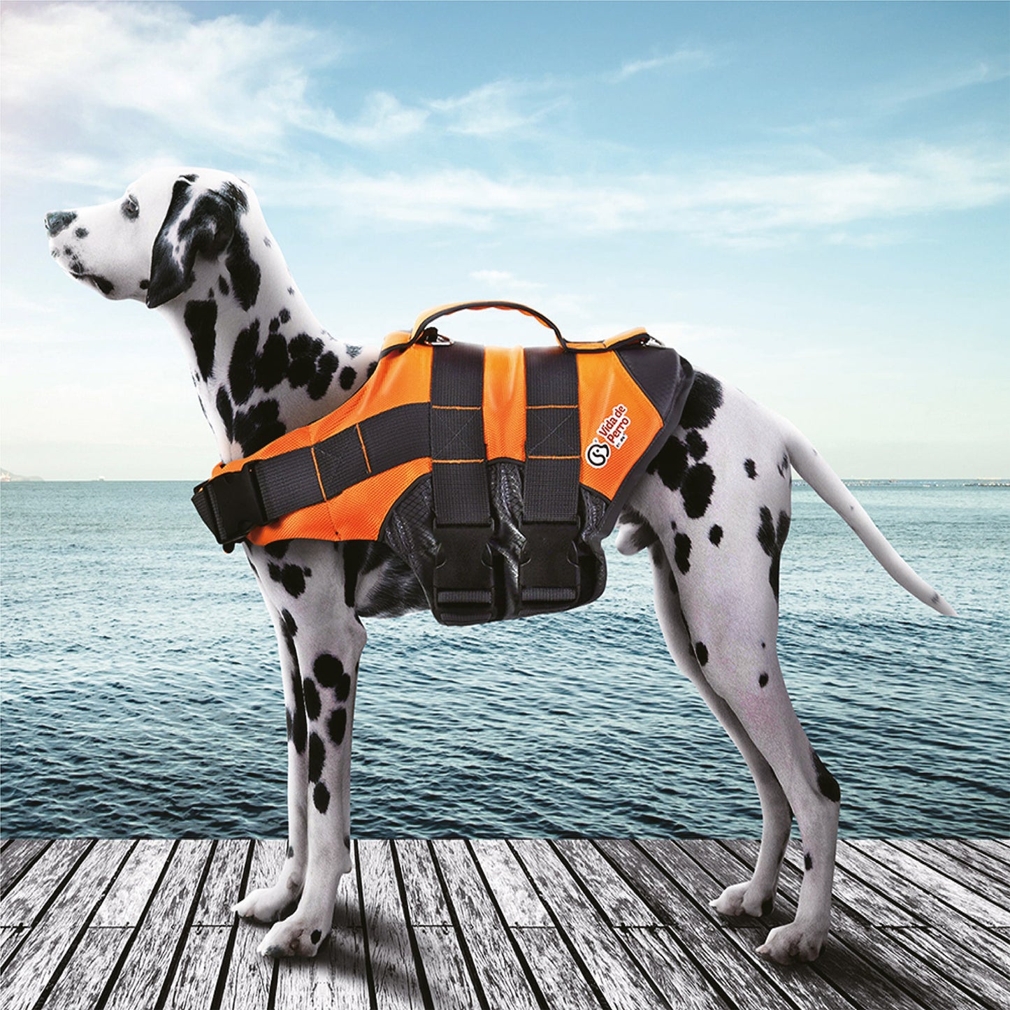 Vida De Perro Chaleco Salvavidas Para Perros