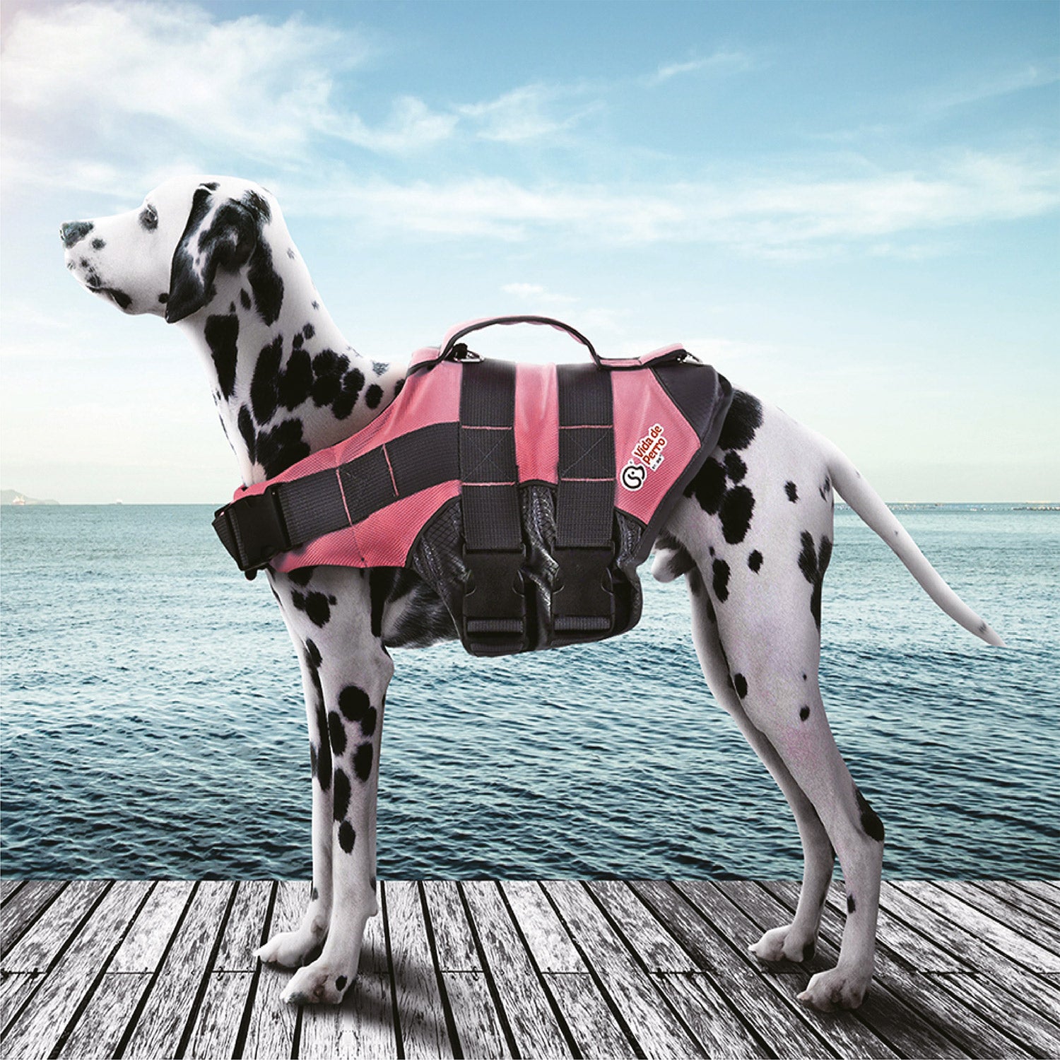Chaleco Salvavidas Con Rayas Reflectant Para Perros