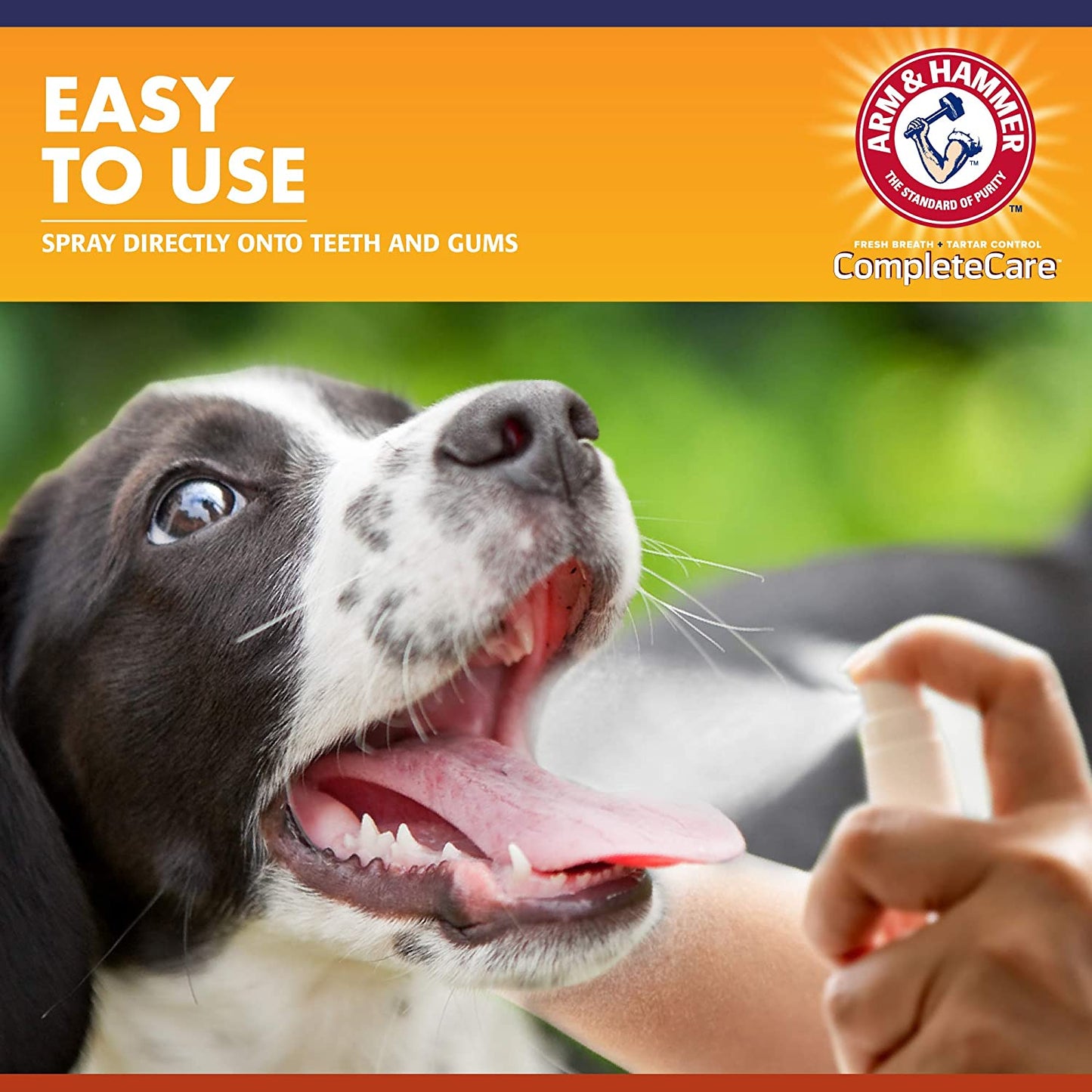 Arm And Hammer Spray Dental Con Sabor A Menta Para Perro