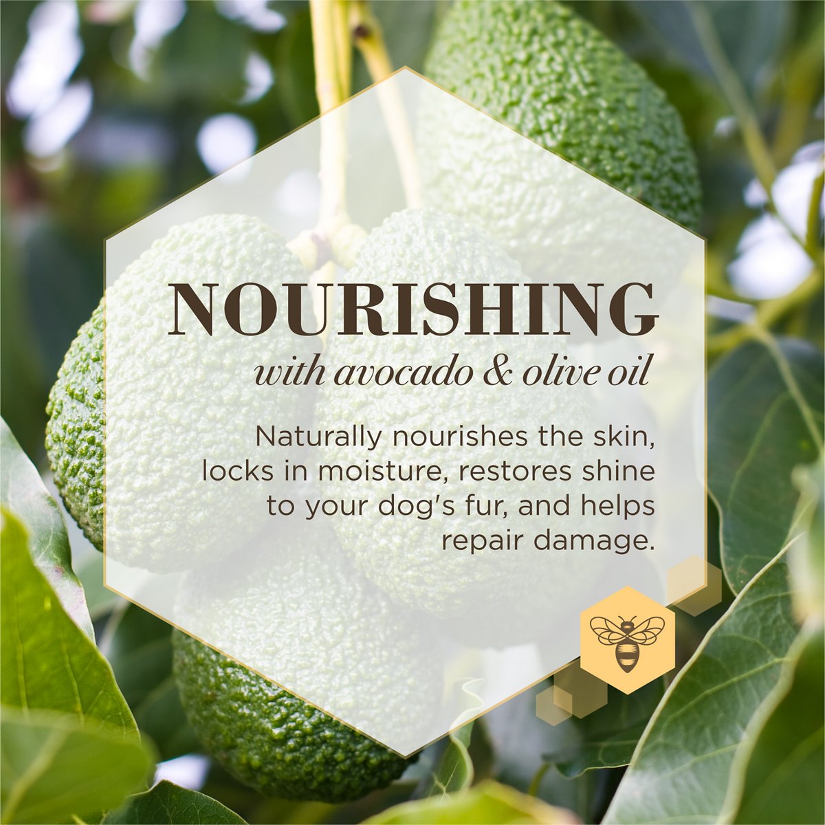 Burts Bees Acondicionador Care Plus Nutritivo en Spray Con Aguacate Y Aceite De Oliva Para Perro