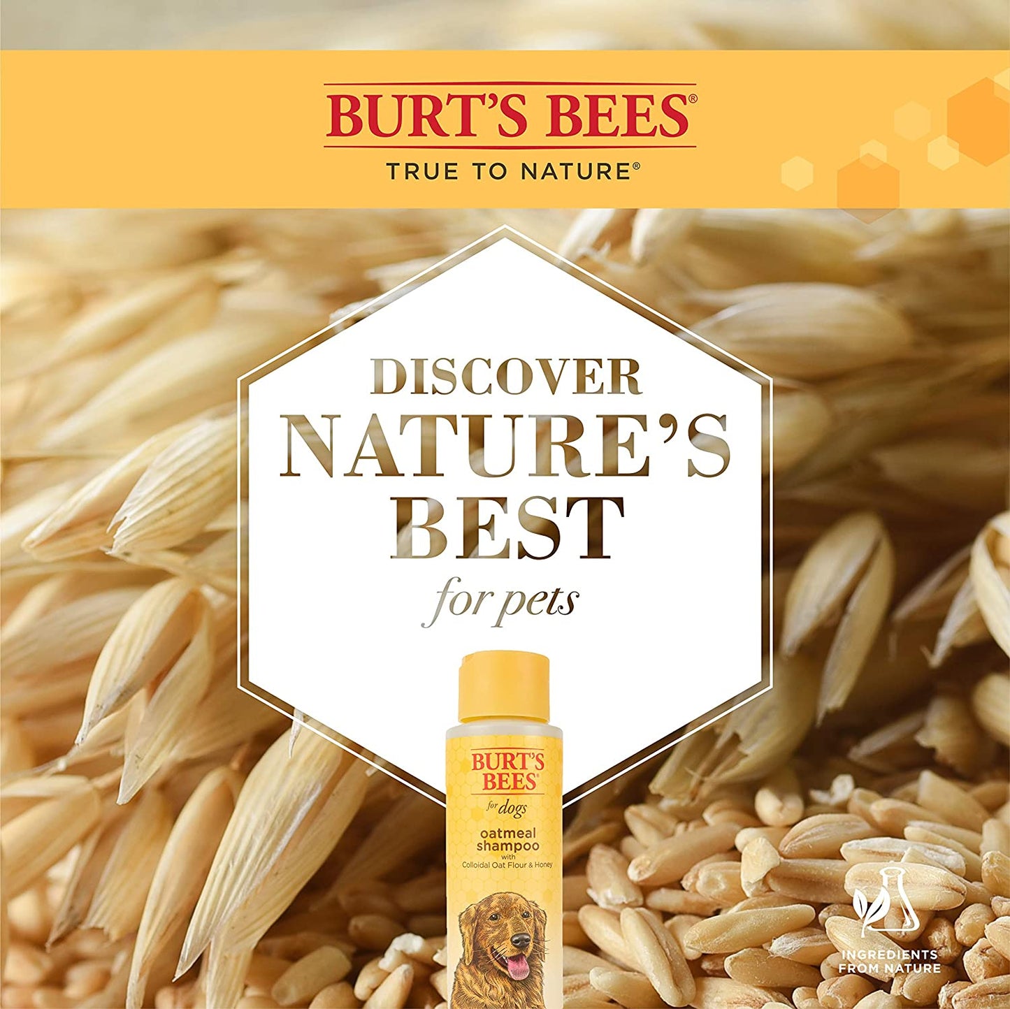 Burts Bees Shampoo De Avena Para Perros