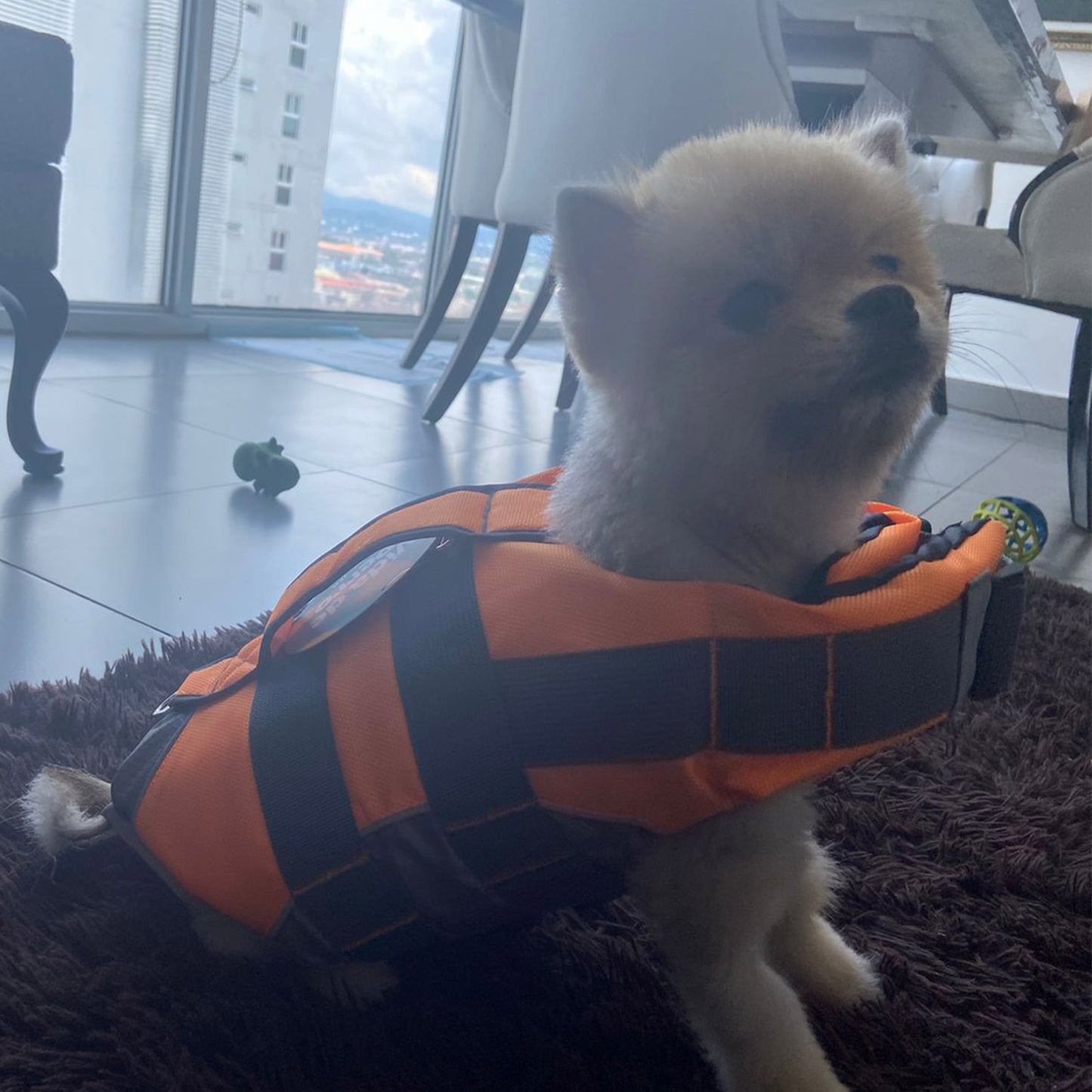 Vida De Perro Chaleco Salvavidas Para Perros