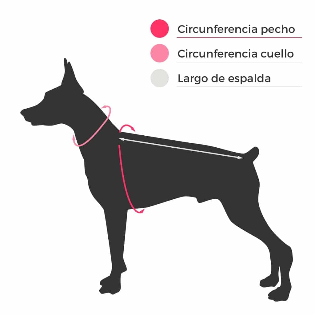 Vida De Perro Chaleco Salvavidas Para Perros
