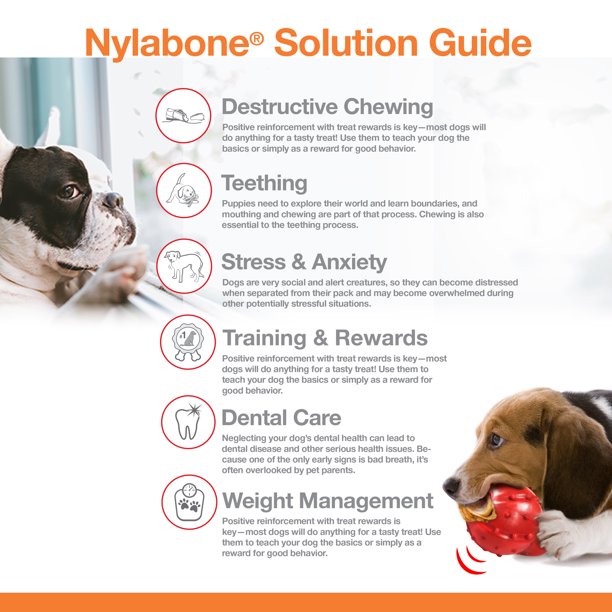 Nylabone Power Chew Juguete En Forma de Hueso Con Nudo Para Perro