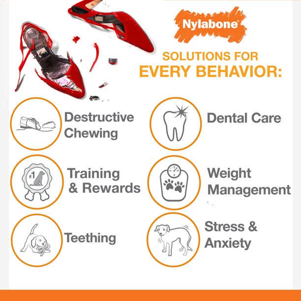 Nylabone Power Chew Juguete En Forma de Hueso Con Nudo Para Perro