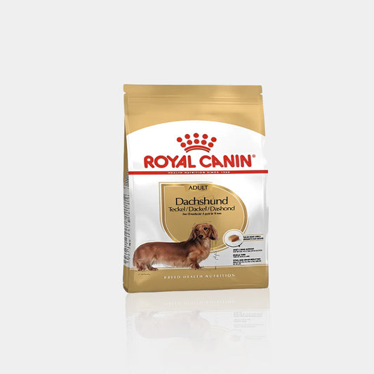 Royal Canin Adult Dachshund