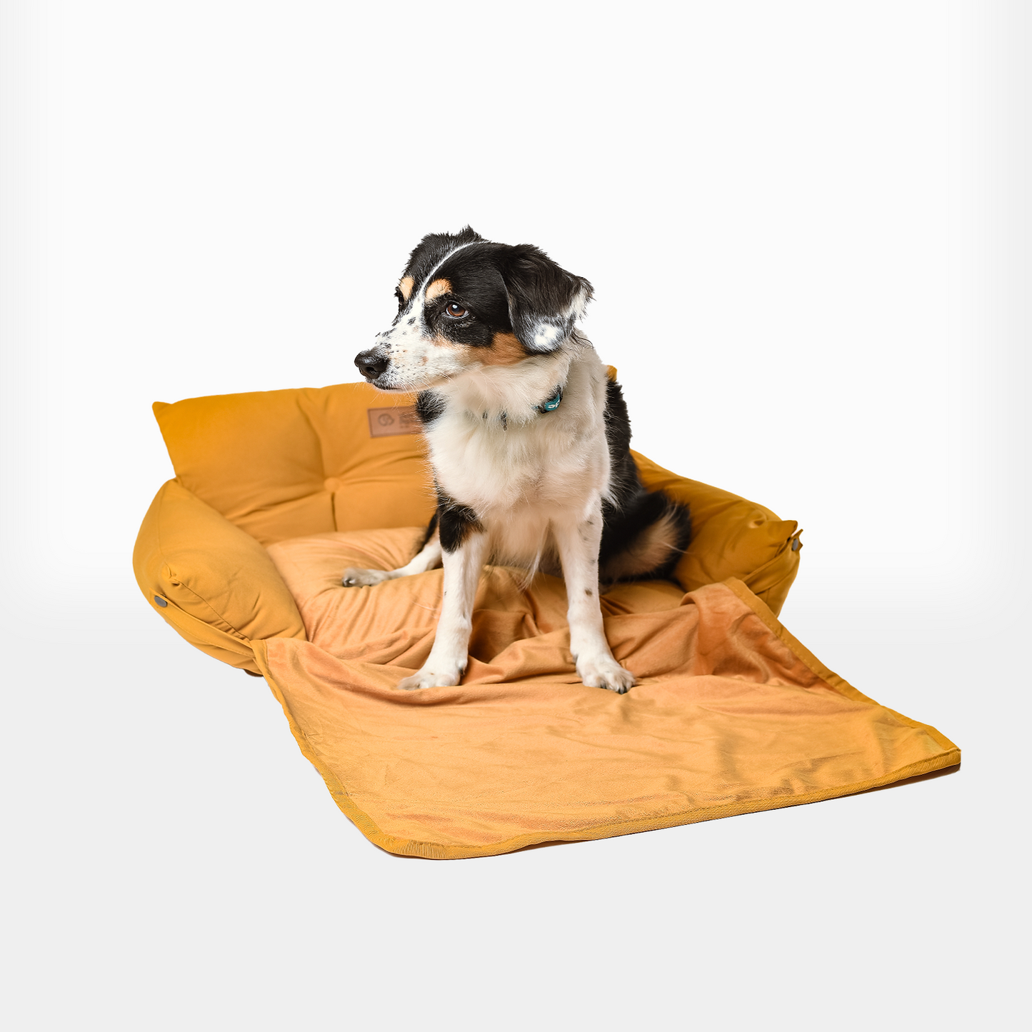 Cama para Perros Vida de Perro