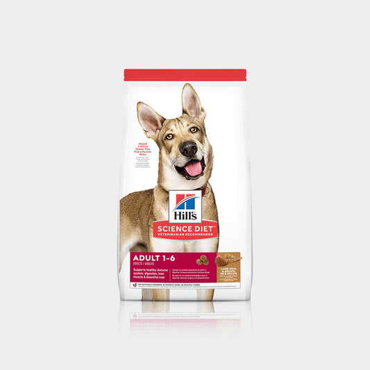 Hills Science Diet Canine Adulto Lamb And Rice Alimento Para Perro