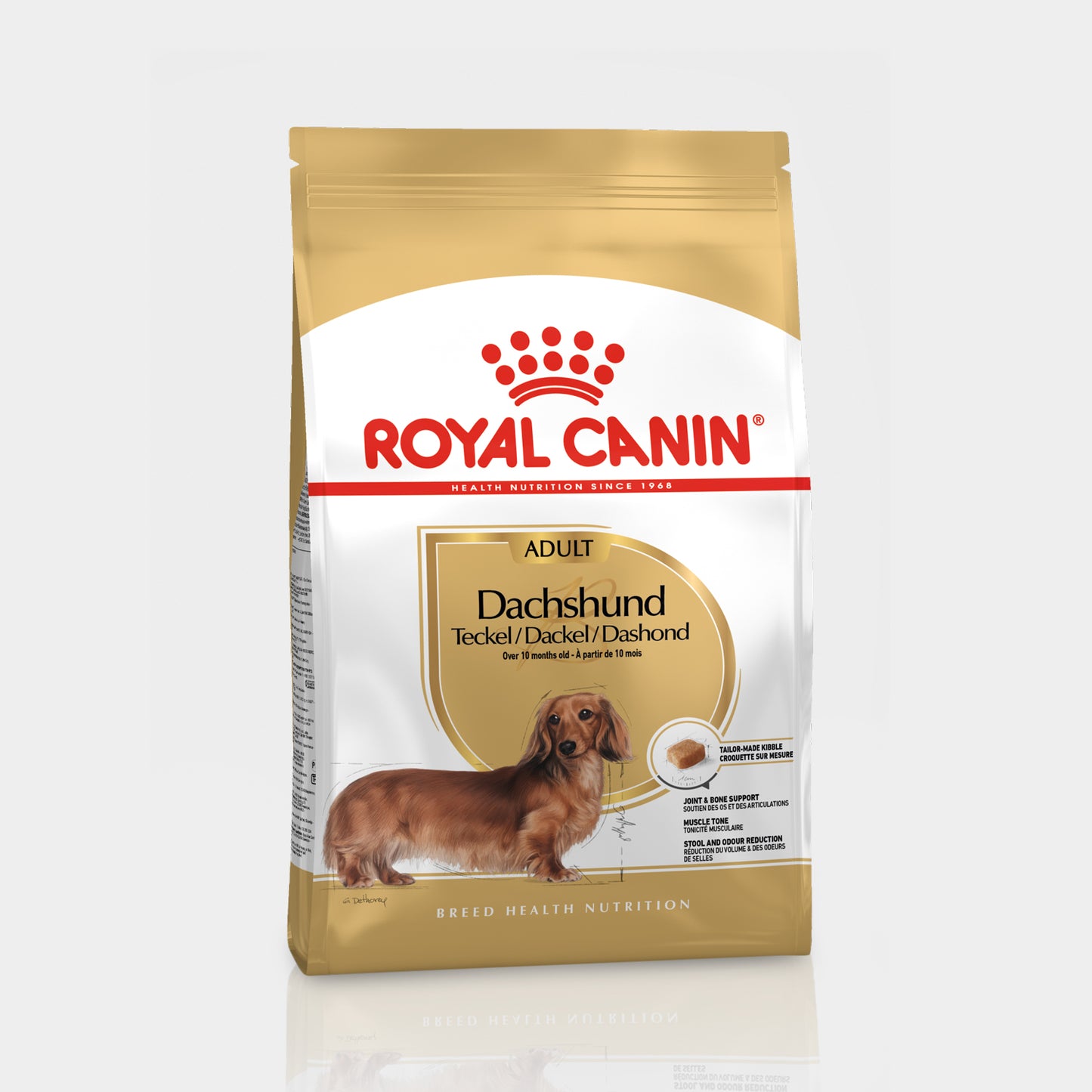 Royal Canin Dachshund Alimento Para Perro