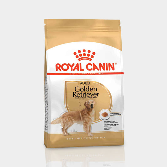 Royal Canin Golden Retriever Alimento Para Perro