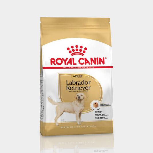 Royal Canin Labrador Alimento Para Perro