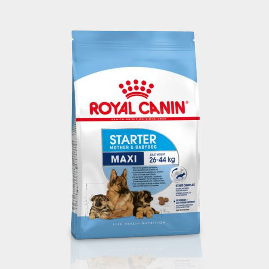 Royal Canin Maxi Starter Mother And Baby Dog Alimento Para Perro